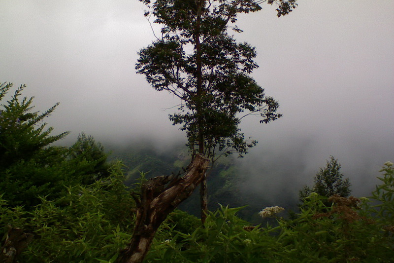 Sri Lanka, Horton Plains